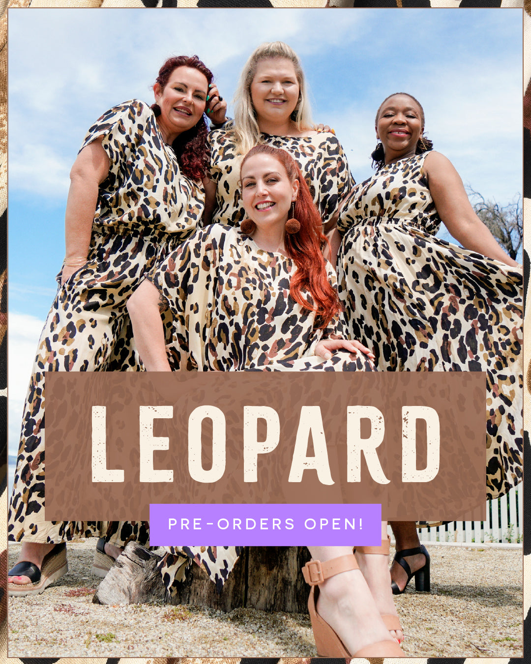 Leopard Love Returns! 🐆