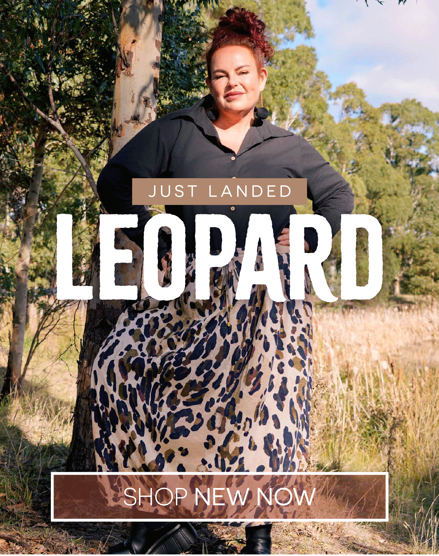 NEW Leopard! Unleash Your Wild Side 🐆