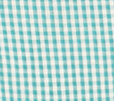 Gingham Teal