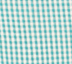 Gingham Teal
