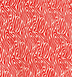 Safari Red