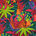 Jungle Neon Rainbow