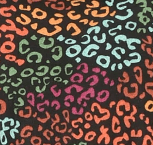 Leopard Rainbow