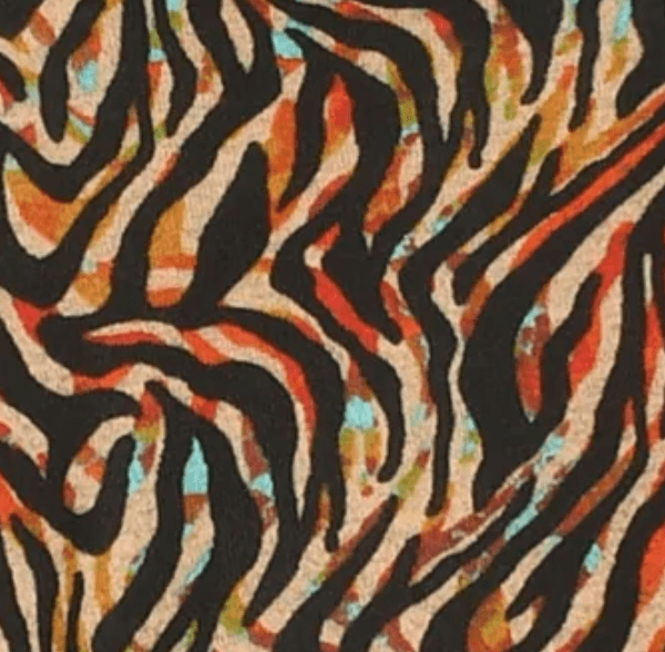 Zebra Rainbow