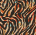 Zebra Rainbow